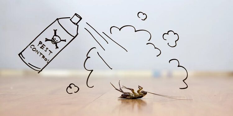 Eliminare scarafaggi