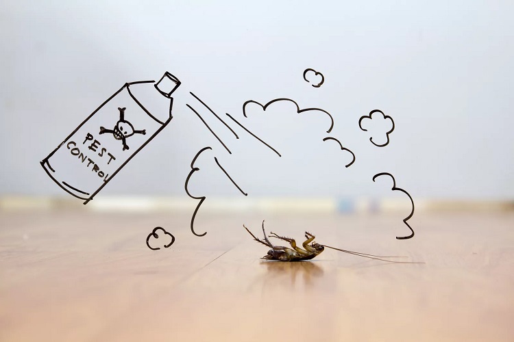 Eliminare scarafaggi